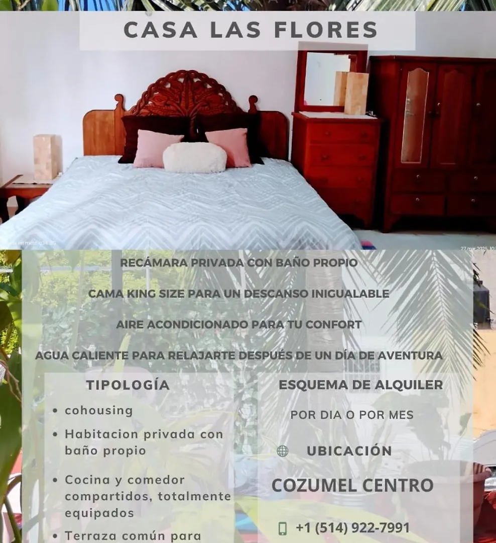 Casa Las Flores Cozumel Apartment